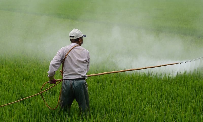 优质除草剂生产